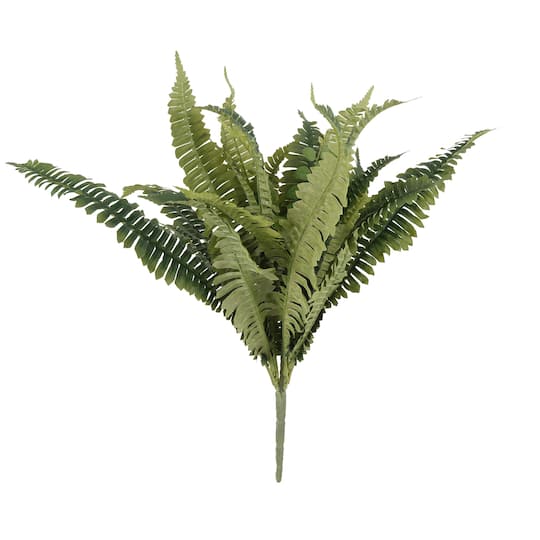 12 Pack: Boston Fern Bush by Ashland®